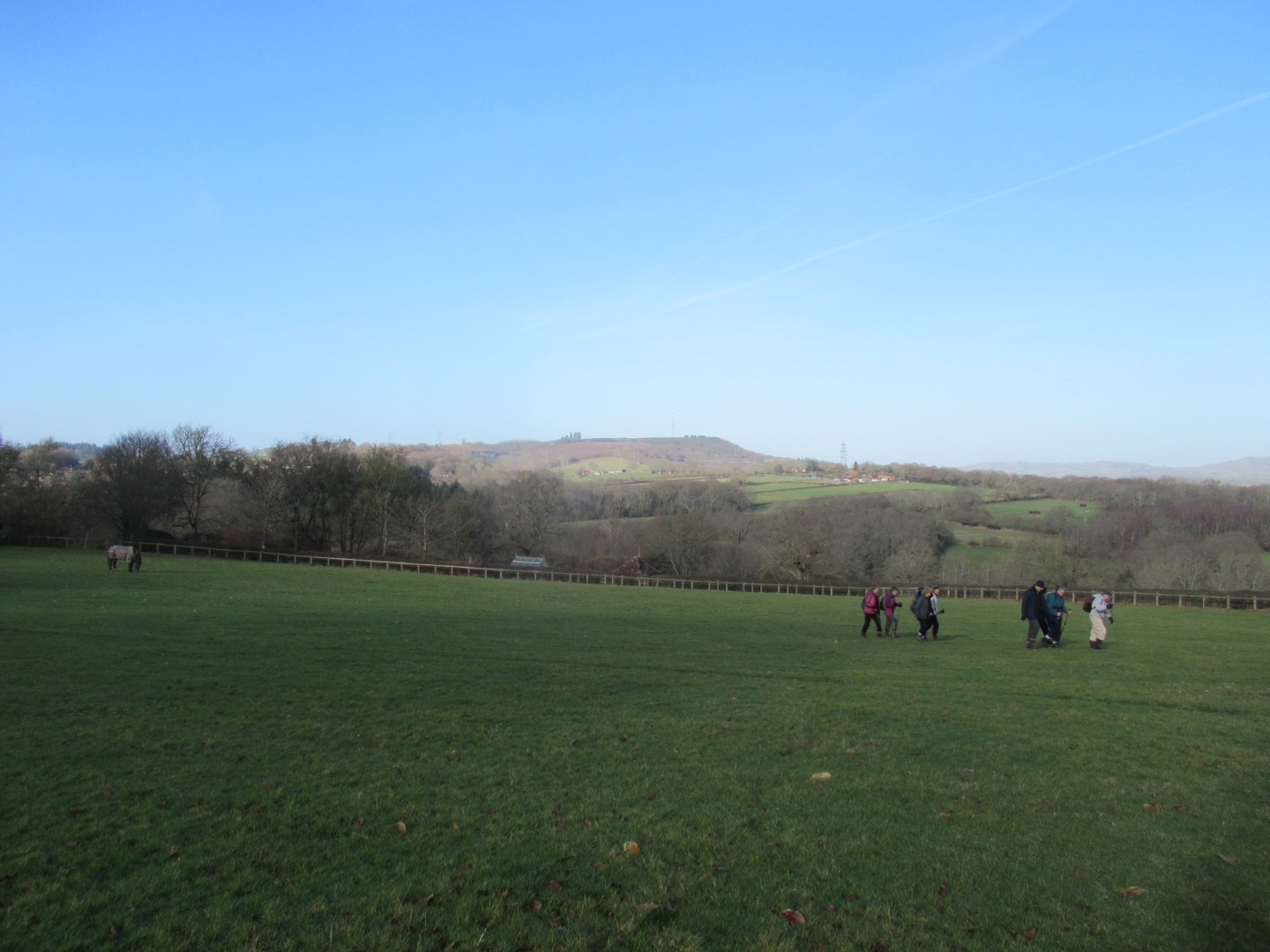 Halfway Bridge walk on 1st February 2023 | Midhurst Footpath Companions