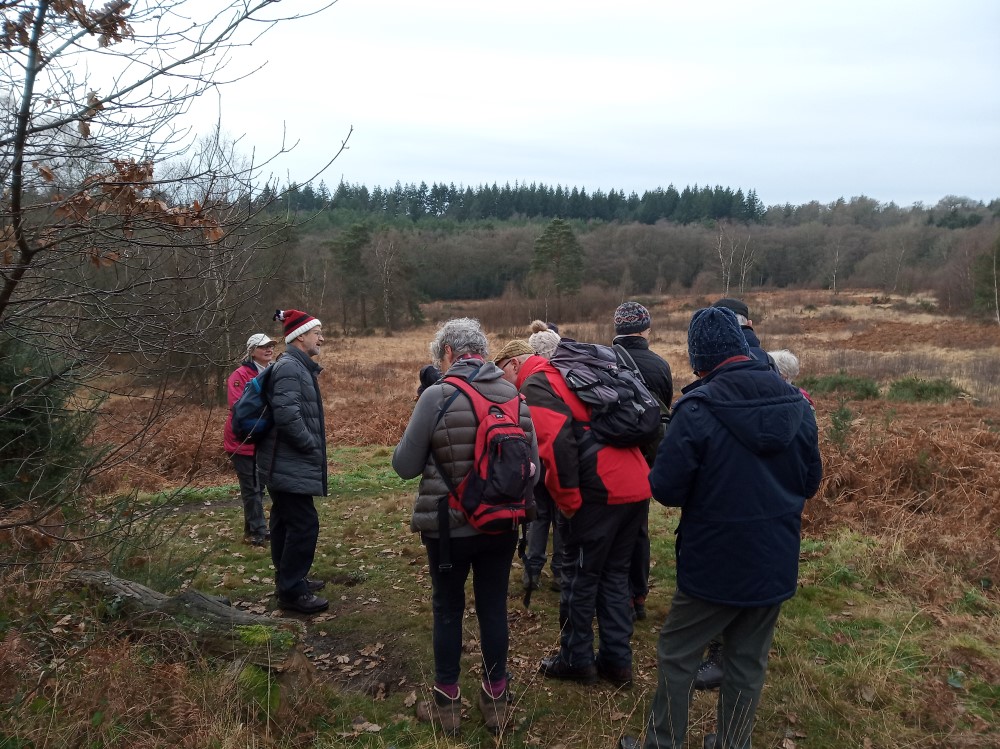 Liphook Walk on 22nd December 2021 | Midhurst Footpath Companions